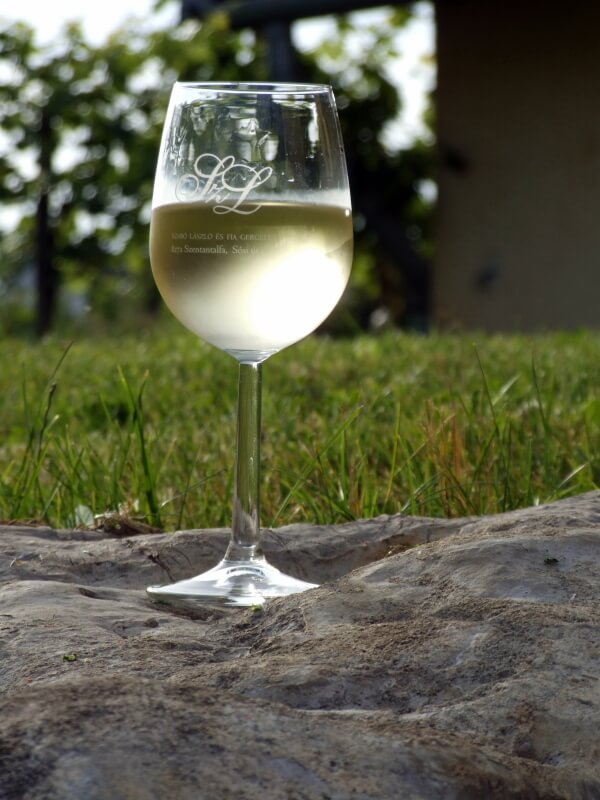 Borkóstoló a Gergely Borházban