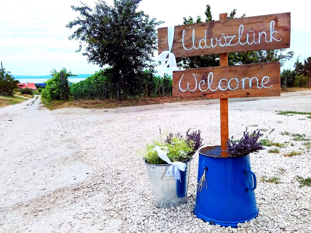 Borkóstoló a Gergely Borházban